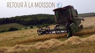 ON REPREND ENFIN LA MOISSON🌾 EPISODE 5 [upl. by Atorod]