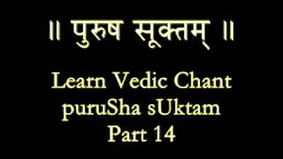 PuruSha sUktam Part 14 [upl. by Noeled893]