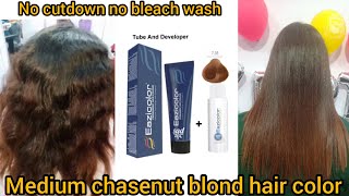 beautiful chestnut hair colour full theory with easicolour Fashion shade hair dye without cutdown [upl. by Ridgley698]