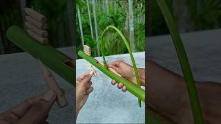 DIY  Bamboo Slingshots with Bamboo creations Bamboo Slingshots DIY Bambooart [upl. by Einnaj988]