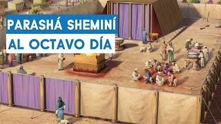 Parashá Sheminí  Aharón y Yeshua Dos Universos Sacerdotales  Parte 7  Rab Dan ben Avraham [upl. by Sloan715]