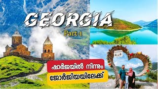 Georgia travel guide Malayalam  ജോർജിയൻ യാത്ര  Georgia Trip  UAE to Georgia 🇬🇪 without package [upl. by Opaline]