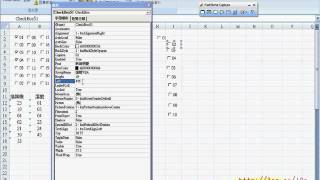 09利用ACTIVEX控制項建立核選方塊EXCEL VBA教學 吳老師提供2avi [upl. by Romulus]