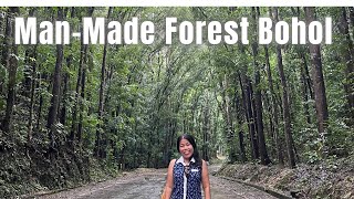 BILAR MANMADE FOREST  BOHOL  Beth Cabanero [upl. by Gall319]