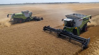 2 Claas Lexion 780s Harvesting Barley [upl. by Aicyle588]