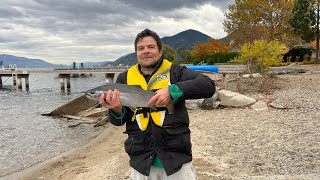 My kayak setup fishing Okanagan Lake at Trout Creek British Columbia [upl. by Ahsek]