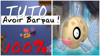 AVOIR BARPAU 100 DANS POKEMON DEPS  MÀJ 112 ET AVANT   TUTO FR [upl. by Aelanna742]