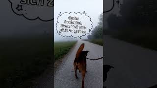 Wiesheit des Hundes14 – Über das Geben und Ganzsein [upl. by Orvas283]