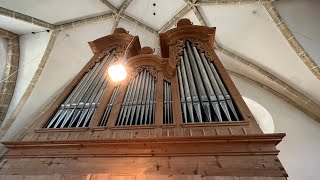 TOUR OF STOPS JohannDummel organ  Tamsweg St Leonhard [upl. by O'Gowan]