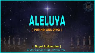 ALELUYA  Purihin Ang Diyos   MIDI Instrumental  MINUS ONE [upl. by Droc]