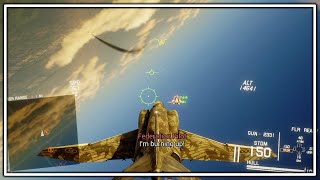 Project Wingman Review Stream Part 3 Final [upl. by Celie]