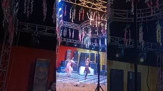 Patola  mahila Sangeet dance dancevideo sangeet program shortvideo [upl. by Ikin]