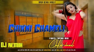 CHIKNI CHAMELI dj remix song [upl. by Fritze654]