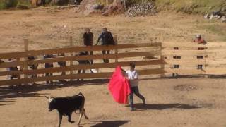 🔴CORRIDA DE TOROS CON BANDA AREQUIPA COTAHUASI CHAUCAVILCA🔴 [upl. by Uah]