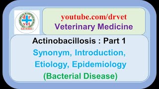 Actinobacillosis Part 1 synonym introduction etiology epidemiology [upl. by Keely]