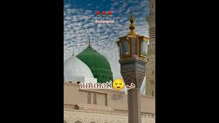 Wo hamare nabi unke hum ummati Naat shareef status jumma special viral salaam [upl. by Andreana718]