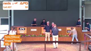 2024 Yearling Sales  Perth [upl. by Haisej]