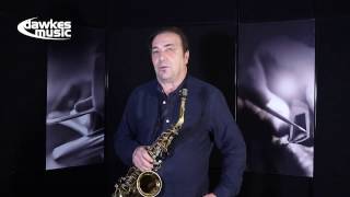 Theo Wanne NY Bros Alto Sax Mouthpiece with Greg Abate [upl. by Eseela682]