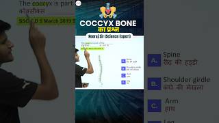 Science  Coccyx Bone का Question neerajsir sciencemagnetshort [upl. by Ecnahc747]