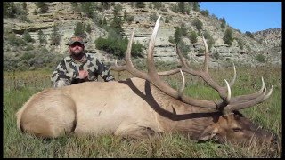 600 Yard Shot on a Huge Bull  MossBack [upl. by Apfel149]