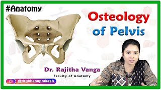 Osteology Of Pelvis [upl. by Smith]