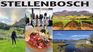 STELLENBOSCH TRAVEL GUIDETOP THINGS TO DO in stellenboschSouth Africa  wine tasting [upl. by Lady]