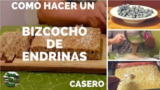 Receta de bizcocho de endrinas [upl. by Legnaleugim]