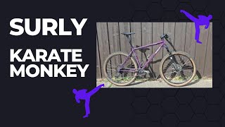 Is the Surly Karate Monkey a legit mountain bike A quick review of the Organic Eggplant Monkey [upl. by Libbna]