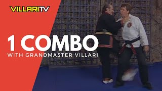 1 Combination  Shaolin Kempo Karate  Grandmaster Villari [upl. by Pfeffer]