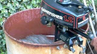 gamefisher 12 hp for sale [upl. by Airal]