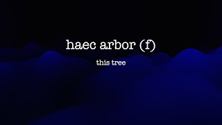 Mastering Latin Declension of HAEC ARBOR [upl. by Maze702]