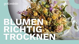 Blumenstrauß richtig trocknen [upl. by Catlaina]