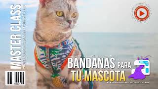 🎀 Aprende a Hacer Bandanas para tu Mascota ¡Estilo y Comodidad 🐾  Curso Online [upl. by Banky]