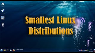 Smallest Linux Distributions [upl. by Etteyniv853]