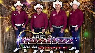 LOS BENITEZ DELA SIERRA SUS MEJORES EXITOS  Puros Corridos y Rancheras Viejitas [upl. by Eineg672]