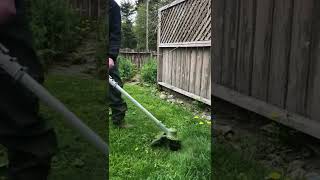 Testing out the DeWalt 20v Max Brushless Trimmer [upl. by Ellerey]