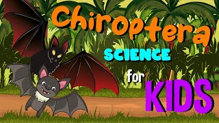 Chiroptera or Bats  Science for Kids [upl. by Sivram85]