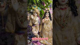 Radhe Krishna song radheshyam radhakrishna radhe krishna bakebihariji krishnabhajan shorts [upl. by Llewoh836]