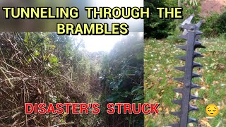 CREATING A HUGE TUNNEL THROUGH BRAMBLES [upl. by Lionello717]