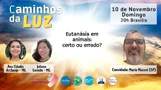 CAMINHOS DA LUZ  Bate papo com Mario Mazzei SP  Ana Archanjo e Juliana Gomide  7 [upl. by Oigufer]