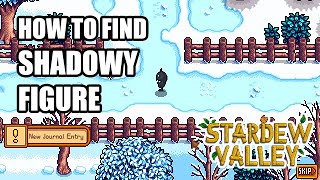 How to Find Shadowy Figure A Winter Mystery in Less Than 30 Seconds  Stardew Valley [upl. by Corie]