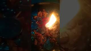 Jalte diye 🪔🪔 happy diwali to all  Diwali ki haardik shubhkamnayen [upl. by Ettennahs]