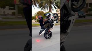 Suzuki GSXR 600 Miami Sunset Wheelie [upl. by Nyliac]