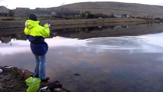 Shetland Shore Cod [upl. by Ocirnor]