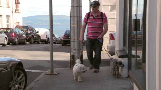 Frank amp the dogs do Greencastle to Moville [upl. by Ahseik693]