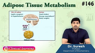 146 Adipose Tissue Metabolism [upl. by Eterg614]