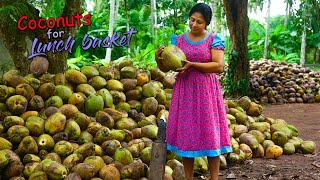 I made a huge lunch basket with coconut dishes for hungry paddy field workers  Traditional Me [upl. by Ayin]