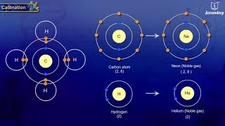 Catenation  Science For Grade 10  Chemistry [upl. by Ophelie]