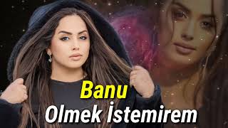 Banu  Olmek İstemirem Official Audio Music [upl. by Ntisuj]