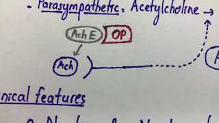 Organophosphate Poisoning [upl. by Kowal]